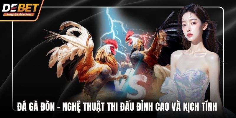 Đá gà đòn